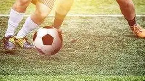 开宝体育 产品 021749 ay3