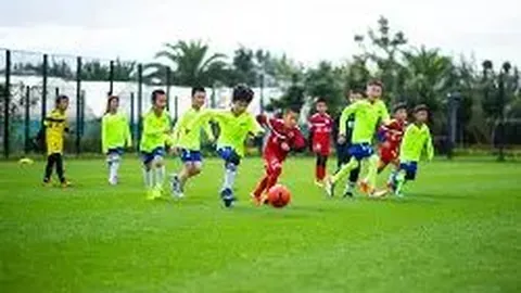 马科博士指出：若F1削减五场比赛，车队恐遭1亿美损失