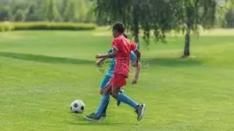 开宝体育 资讯 094411 nox