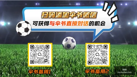开宝体育，开宝体育入口， 144946